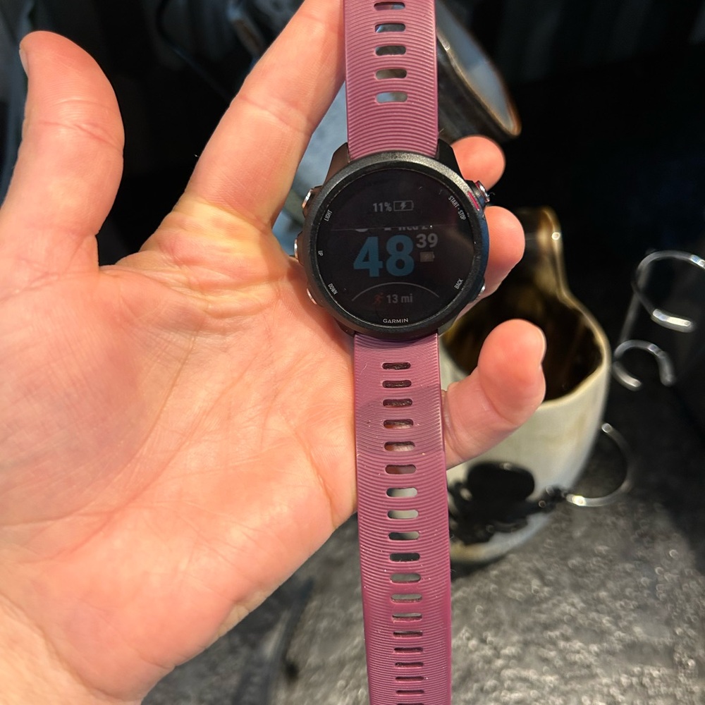 Garmin Forerunner 245